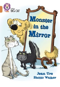 Monster in the Mirror - Band 12/Copper