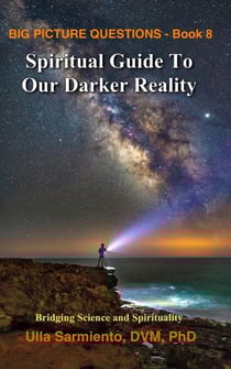 Spiritual Guide To Our Darker Reality - Big Picture Questions, #8