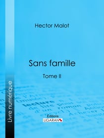 Sans famille - Tome II