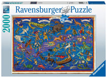 Puzzle 2000 pièces - Constellations
