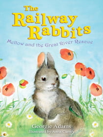 Railway Rabbits: Mellow and the Great River Rescue - Book 6