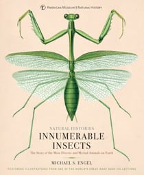Innumerable Insects - The Story of the Most Diverse and Myriad Animals on Earth