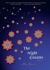 The Night Counter - A Novel