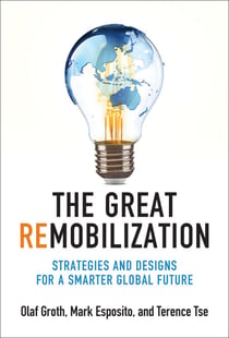 The Great Remobilization - Strategies and Designs for a Smarter Global Future