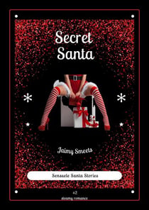 Secret Santa - Sensuele Santa Stories, #2