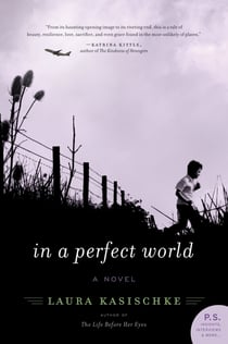 In a Perfect World - A Novel