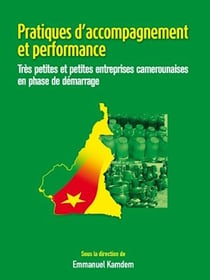 Pratiques d'accompagnement et performance - Très petites et petites entreprises camerounaises en phase de démarrage
