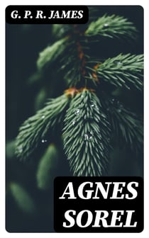 Agnes Sorel - A Novel