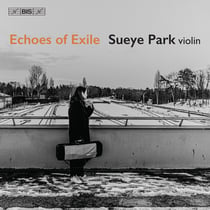 Echoes of Exile