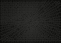 Puzzle 736 pièces - Krypt black