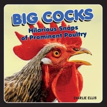 Big Cocks - Hilarious Snaps of Prominent Poultry