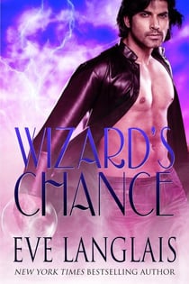 Wizard's Chance - The Realm, #1
