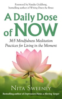 A Daily Dose of Now: 365 Mindfulness Meditation Practices for Living in the Moment