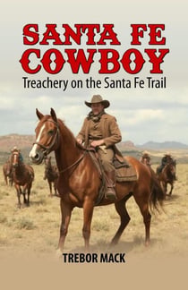 Santa Fe Cowboy