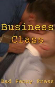 Business Class - Working Stiffs, #3