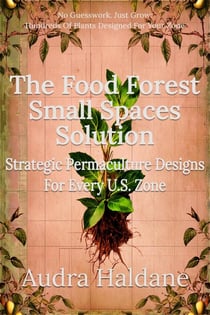 The Food Forest Small Spaces Solution: Strategic Permaculture Designs for Every US Zone - The Food Forest Solution, #3