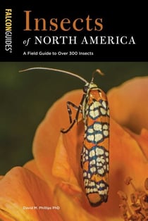 Insects of North America - A Field Guide to Over 300 Insects