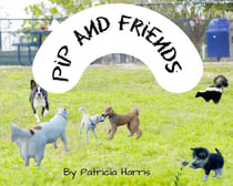 Pip And Friends - Pip, #3