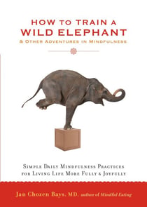 How to Train a Wild Elephant - And Other Adventures in Mindfulness