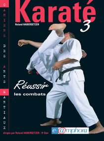 Karaté 3 - Réussir les combats