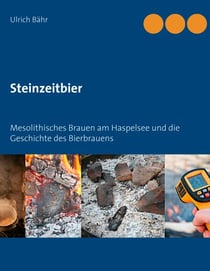 Steinzeitbier - Mesolithisches Brauen am Haspelsee und die Geschichte des Bierbrauens