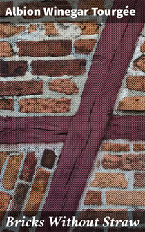 Bricks Without Straw - A Novel
