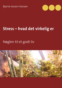 Stress – hvad det virkelig er - Nøglen til et godt liv