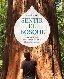 Sentir el bosque - La experiencia del shinrin-yoku (baño de bosque)