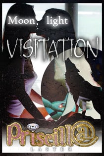 Moonlight Visitation