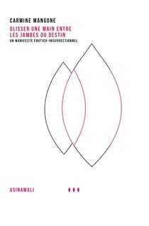 Glisser une main entre les jambes du destin - un manifeste érotico-insurrectionnel