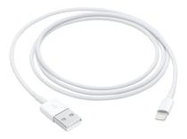 Apple câble Lightning - Lightning / USB 2.0 - 1 m