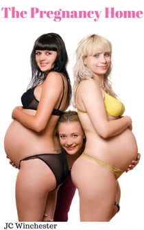 The Pregnancy Home - Pregnancy Stand Alones, #5