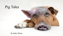 Pig Tales - Telling Tales, #1
