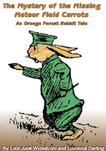 The Orange Forest Rabbit Mysteries by Lois June Wickstrom and Lucrecia Darling