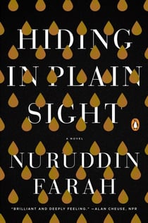 Hiding in Plain Sight - A Novel