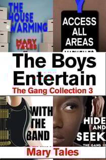 The Boys Entertain - Meet The Gang, #3
