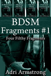 BDSM Fragments #1 - Filthy Fragments, #6