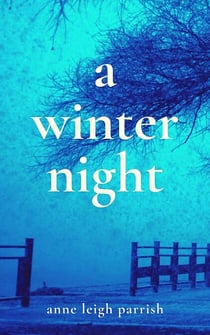 A Winter Night