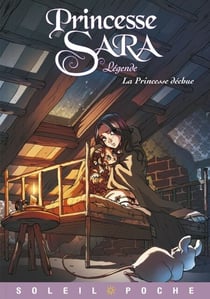 Princesse Sara Légende T02 - La princesse déchue