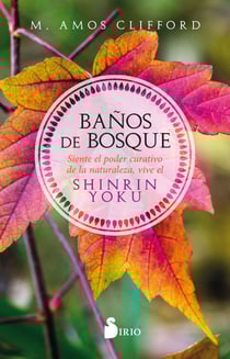 Baños de bosque - Siente el poder curativo de la naturaleza, vive el Shinrin Yoku