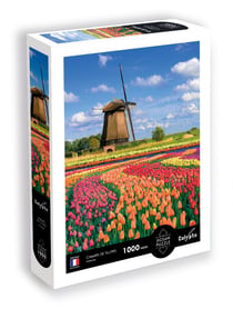 Puzzle 1000 pièces - Champs de tulipes : Hollande - Calypto