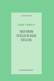 Nous voyons un éclat de soleil sur le sol