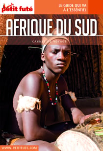 AFRIQUE DU SUD 2016 Carnet Petit Futé