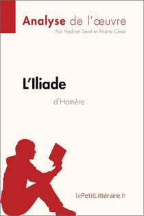 L'Iliade d'Homère (Analyse de l'oeuvre) - Analyse complète et résumé détaillé de l'oeuvre
