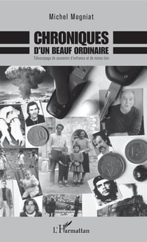 Chroniques d'un beauf ordinaire - Télescopage de souvenirs d'enfrance et de moins loin