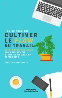 Cultiver le Flow au travail - 10 minutes par jour pour se sentir mieux et gagner en efficacité