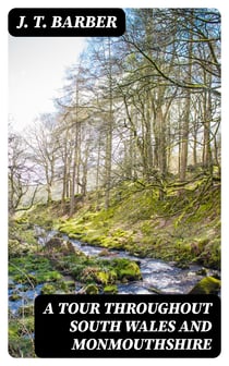 A Tour throughout South Wales and Monmouthshire