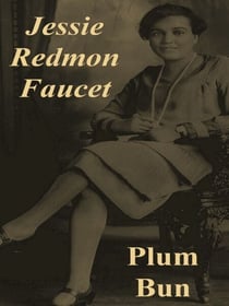 Plum Bun: A Novel Without a Moral