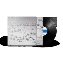 Appear Disappear