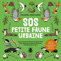 Connaître et protéger la petite faune urbaine